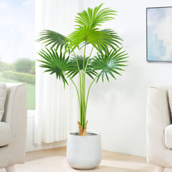 Artificial Fan Palm  with Plastic Planter and Moss - 120CM