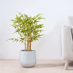 Artificial Bamboo Tree with Plastic Planter & Moss - 80CM