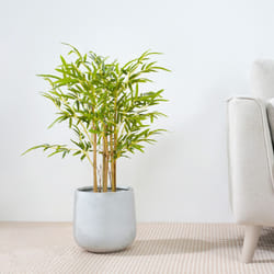 Artificial Bamboo Tree with Plastic Planter & Moss - 80CM
