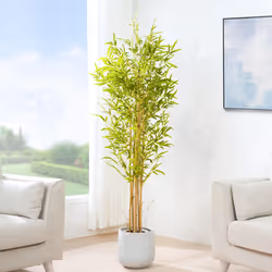 Artificial Bamboo Tree with Plastic Planter & Moss - 160CM