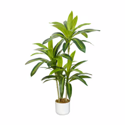Artificial Agave Tree with Plastic Planter & Moss - 100CM