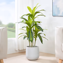 Artificial Agave Tree with Plastic Planter & Moss - 120CM