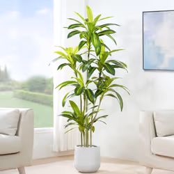 Artificial Agave Tree with Plastic Planter & Moss - 150CM