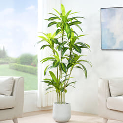 Artificial Agave Tree with Plastic Planter & Moss - 150CM