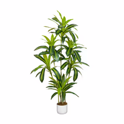 Artificial Agave Tree with Plastic Planter & Moss - 150CM