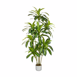 Artificial Agave Tree with Plastic Planter & Moss - 170CM