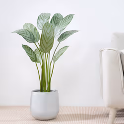 Artificial Bird of Paradise Tree with Planter&Moss - 110CM