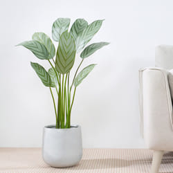 Artificial Bird of Paradise Tree with Planter&Moss - 110CM