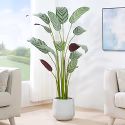 Artificial Bird of Paradise Tree with Planter&Moss - 160CM
