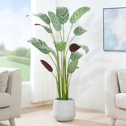 Artificial Bird of Paradise Tree with Planter&Moss - 160CM