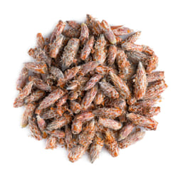 Valley of Tea Pine Bud 50 g