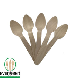 Biodegradable Wooden Cutlery - Knives, Forks, Spoons - Pack of 100 - 100pcs Teaspoons