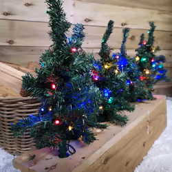 6pc 5m Christmas Green Tree Outdoor Path Lights with 15 Multi Colour LEDs per Tree