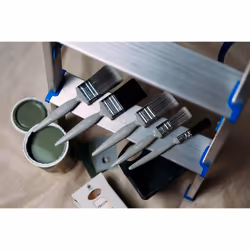 Harris Essentials Walls and Ceilings  Emulsion & Gloss Paint Brush Pack of 5