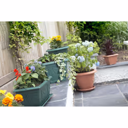 4 Venetian Window Box Trough Planters Small 40cm Plastic Forest Green