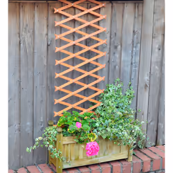 2 x 6ft Expanding Wooden Garden Trellis Climbing Plant Support Brown