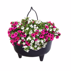 2 Black Plastic Cauldron Planters With Handle Small Round Pot 26cm