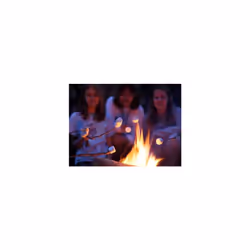 160 Zip Firelighters All purpose Fire Starter Cubes Open Fire Pit BBQ