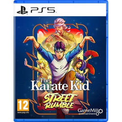 GameMill Entertainment The Karate Kid: Street Rumble Standard German, Dutch, English, Spanish, French, Italian, Portuguese PlayStation 5