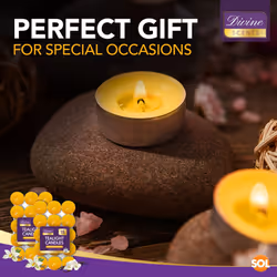 30pk Scented Tea Lights Candles | Various Perfumes - Indulgent Vanilla
