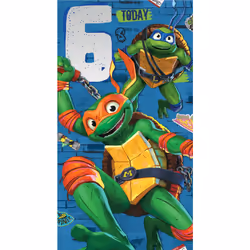Teenage Mutant Ninja Turtles Age 6 Birthday Card