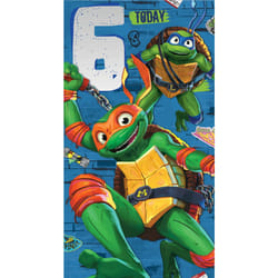 Teenage Mutant Ninja Turtles Age 6 Birthday Card