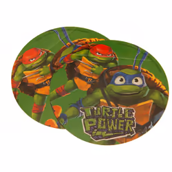Teenage Mutant Ninja Turtles Gift Wrap