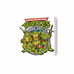 Teenage Mutant Ninja Turtles Birthday Card