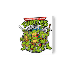 Teenage Mutant Ninja Turtles Birthday Card
