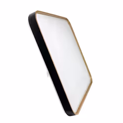 48W LED Square Ceiling Light CCT Tri-tone 3000k-6500k, 5500 Lumen, Black Edge