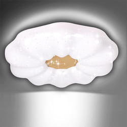 24W LED Floral Shape Ceiling Light 6500K, 2500 Lumen