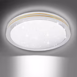 24W LED Ceiling Light 6500K, 2500 Lumen, Round, gold edged