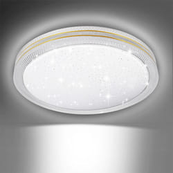 24W LED Ceiling Light 6500K, 2500 Lumen, Round, gold edged
