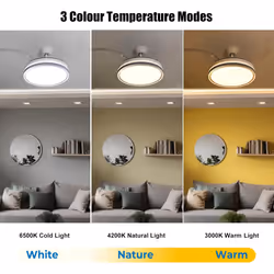 2 in 1 Retractable Blade Fan & Ceiling Light, Ultra-Quiet, Remote-Controlled, 3 Colour - Wavy Edge