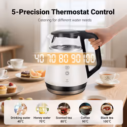 1.0 L Temperature Control Electric Kettle