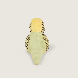 Cozy Plush Budgie Microwavable Toy