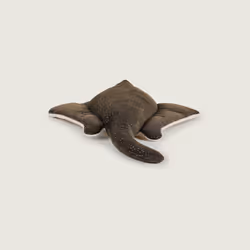 Manta Ray Cozy Plush Microwavable Toy