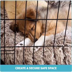 ) Dog Crate Extra Large Puppy Pet with Removal Tray & 2 Doors Folding Cage Train - Medium (30"