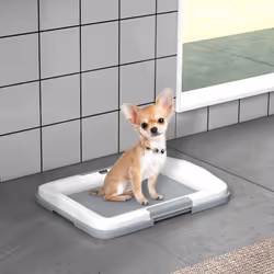 PawHut Dog Toilet Tray, Dog Litter Tray for Training Dogs, 63 x 49 x 6cm