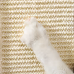 PawHut 67cm Cat Scratching Post, 3-in-1 Cat Scratcher w/ Track Ball Toy - Additional view 8