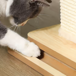 PawHut 67cm Cat Scratching Post, 3-in-1 Cat Scratcher w/ Track Ball Toy - Additional view 9