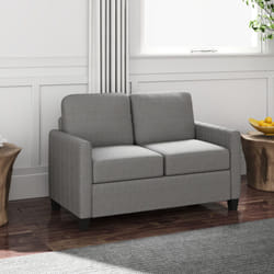 HOMCOM Modern 2 Seater Sofa with Spring Cushion, Back Pillow, Grey