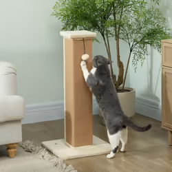 PawHut 81cm Cat Scratching Post w/ Jute Rope, Hanging Ball, Soft Plush Beige
