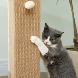 PawHut 81cm Cat Scratching Post w/ Jute Rope, Hanging Ball, Soft Plush Beige - Additional view 5