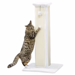 PawHut 81cm Cat Scratching Post w/ Sisal Rope, Hanging Ball Soft Plush White - Additional view 8