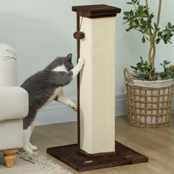 PawHut 81cm Cat Scratching Post w/ Sisal Rope, Hanging Ball Soft Plush Brown - Additional view 5