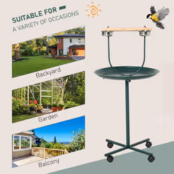 PawHut Bird Perch Stand, T-Stand Bird Training with Perch, Green