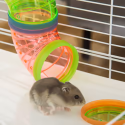 PawHut Hamster Cage w/ Water Bottle, Exercise Wheel, Tubes, Ramps-Light Blue - Additional view 7