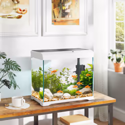 PawHut 27L Glass Fish Tank with Filter System, LED Light, Water Pump, White