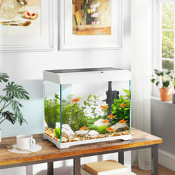 PawHut 27L Glass Fish Tank with Filter System, LED Light, Water Pump, White